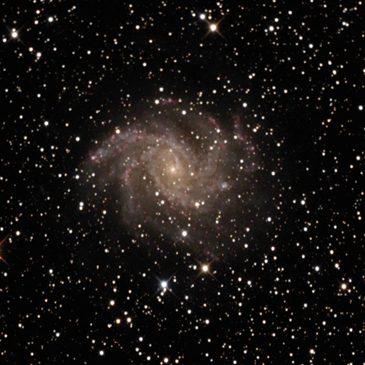 Caldwell 12 Fireworks Galaxy