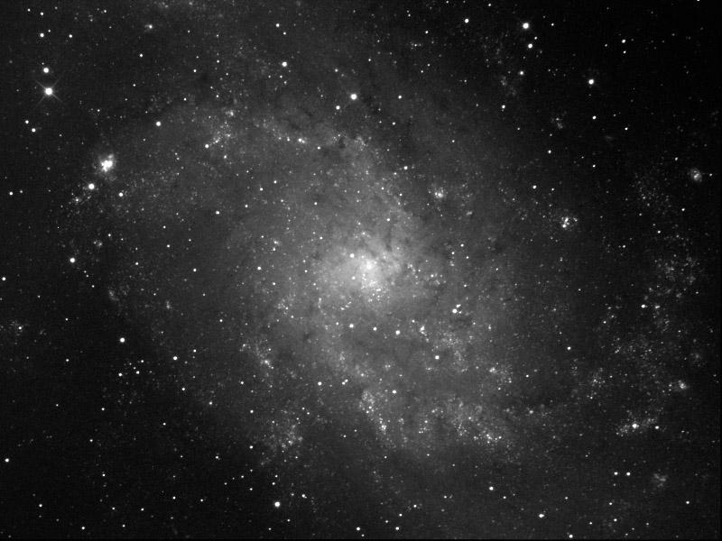 M33