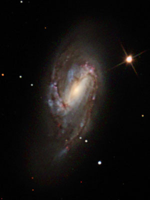 M66