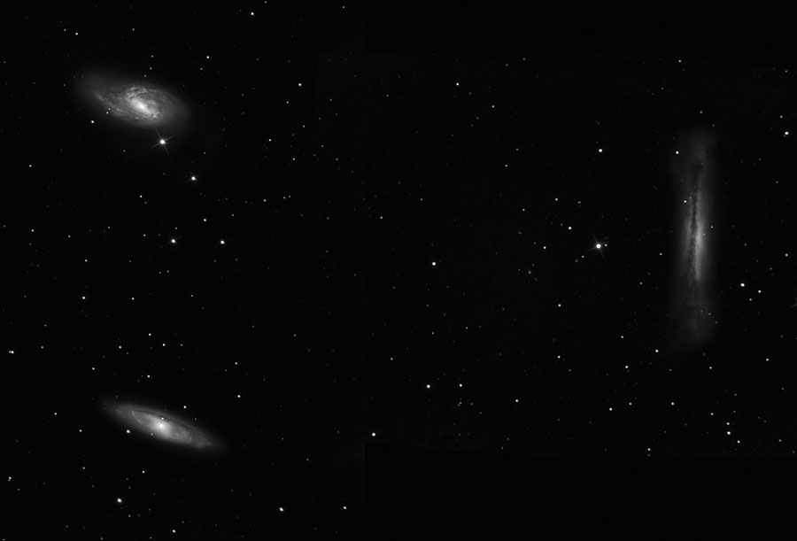 Leo Triplet