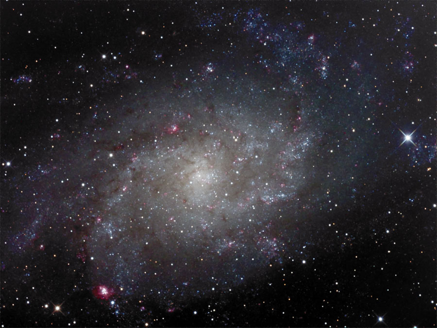 M33
