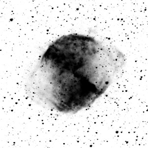 Red (negative & stretched)