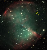 Mira type variable star