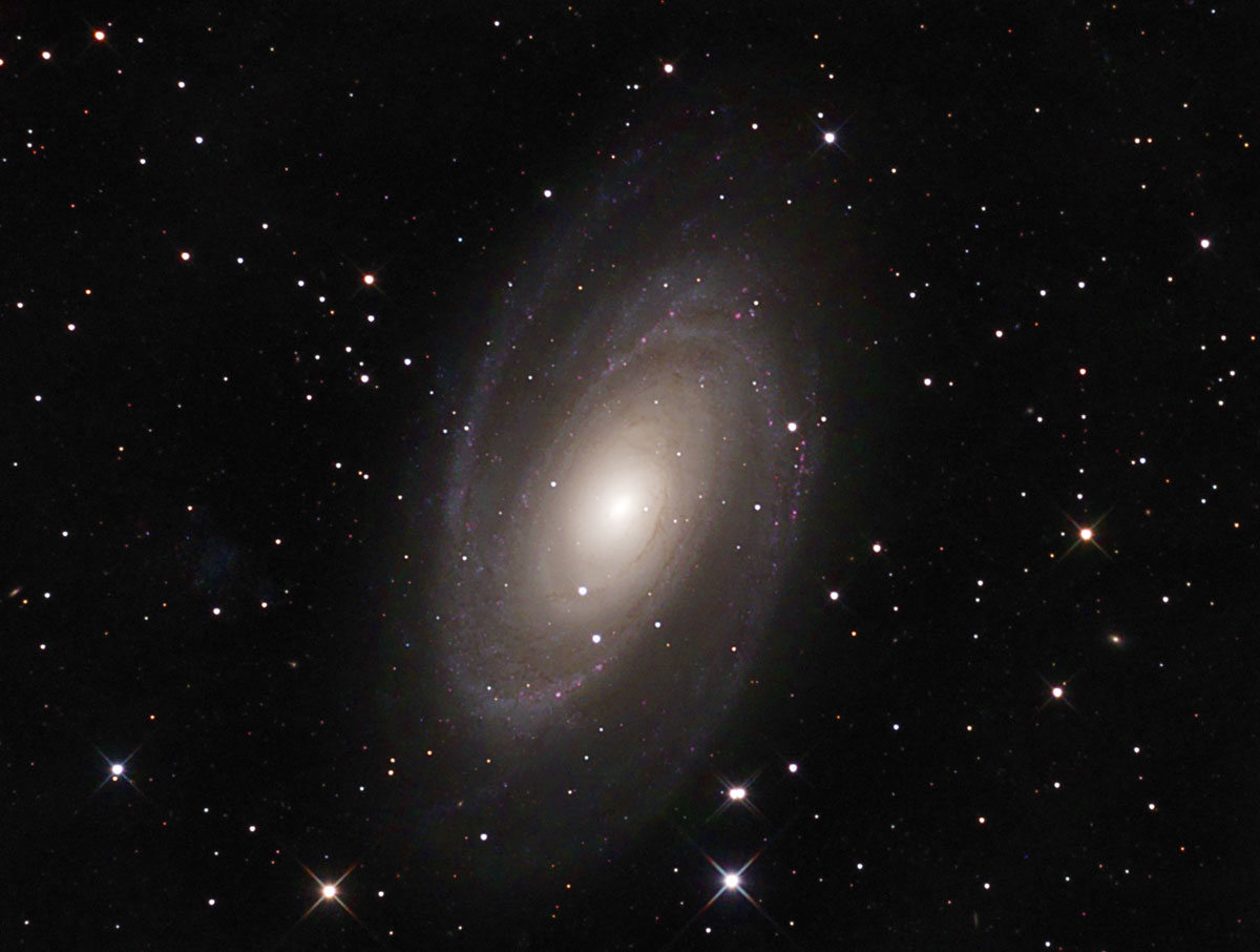 M81 Bodes Galaxy