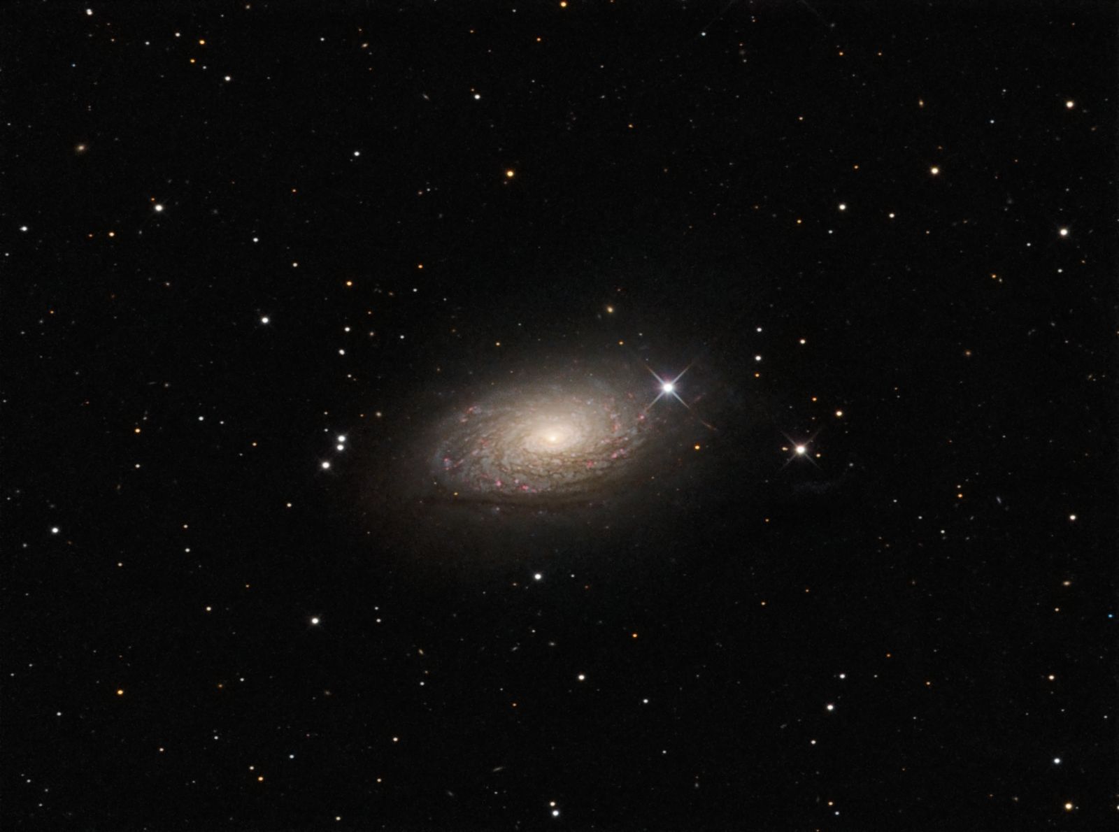 M63 Sunflower Galaxy