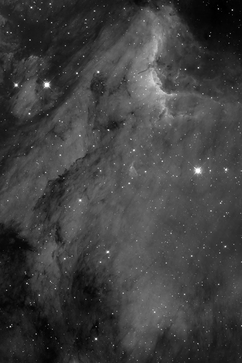 Pelican Nebula